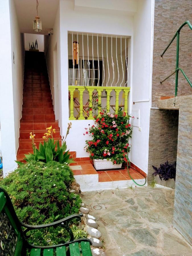 Un Paraiso En Tenerife Punta Del Hidalgo Exterior foto