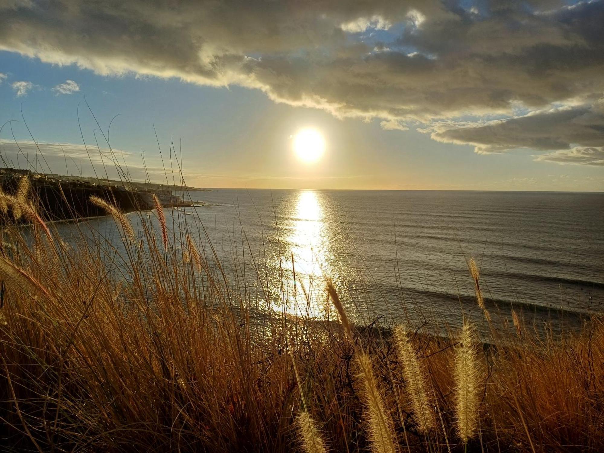 Un Paraiso En Tenerife Punta Del Hidalgo Exterior foto